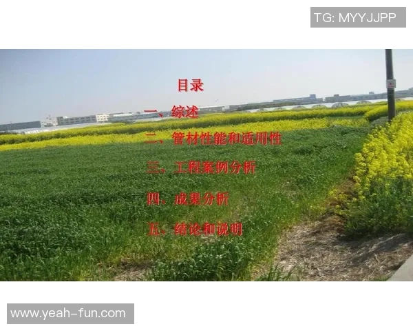 西安羽毛球队默契配合探讨及其对比赛成绩的影响分析 西安羽毛球队默契配合探讨及其对比赛成绩的影响分析